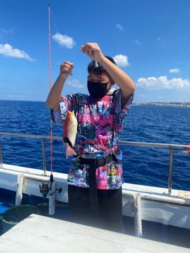 沖縄海うさぎ・海あしびに投稿された画像（2021/8/31）