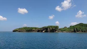 沖縄海うさぎ・海あしびに投稿された画像（2021/8/31）