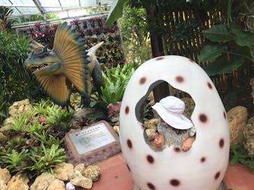 ナゴパイナップルパークに投稿された画像（2021/9/2）