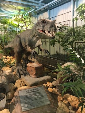 ナゴパイナップルパークに投稿された画像（2021/9/2）