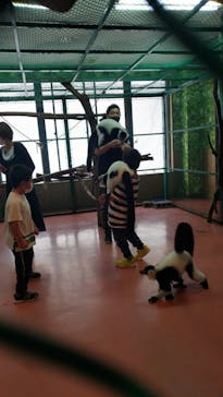 那須ワールドモンキーパークに投稿された画像（2021/9/2）