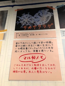 京都水族館に投稿された画像（2021/9/2）