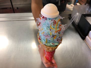 京都水族館に投稿された画像（2021/9/2）