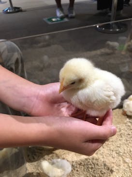 Moff animal world MARK IS みなとみらい店に投稿された画像（2021/9/2）