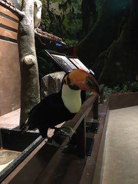 Moff animal world MARK IS みなとみらい店に投稿された画像（2021/9/2）