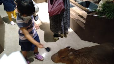 Moff animal world MARK IS みなとみらい店に投稿された画像（2021/9/2）