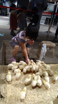 Moff animal world MARK IS みなとみらい店に投稿された画像（2021/9/2）