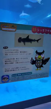 横浜・八景島シーパラダイスに投稿された画像（2021/9/2）