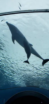 横浜・八景島シーパラダイスに投稿された画像（2021/9/2）