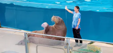 横浜・八景島シーパラダイスに投稿された画像（2021/9/2）