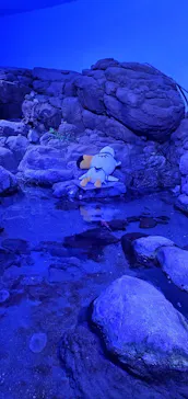 横浜・八景島シーパラダイスに投稿された画像（2021/9/2）