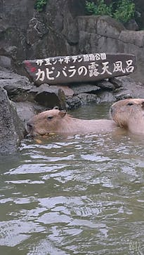 伊豆シャボテン動物公園に投稿された画像（2021/9/3）