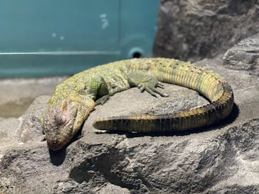 サンシャイン水族館に投稿された画像（2021/9/3）