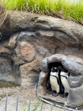 サンシャイン水族館に投稿された画像（2021/9/3）