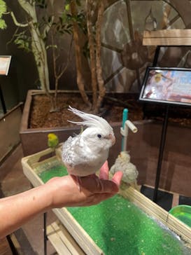 Moff animal world MARK IS みなとみらい店に投稿された画像（2021/9/3）