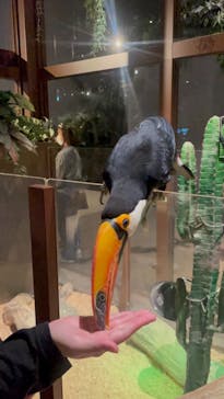 Moff animal world MARK IS みなとみらい店に投稿された画像（2021/9/3）