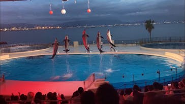 マリンワールド海の中道に投稿された画像（2021/9/3）