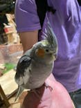 Moff animal world MARK IS みなとみらい店に投稿された画像（2021/9/3）