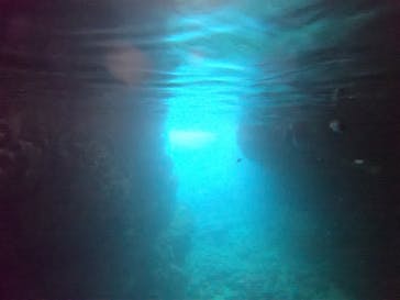 武藤潜水に投稿された画像（2021/9/3）