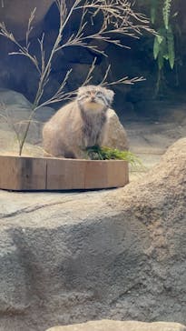 神戸どうぶつ王国に投稿された画像（2021/9/3）