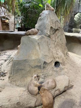 神戸どうぶつ王国に投稿された画像（2021/9/3）