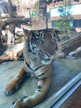 神戸どうぶつ王国に投稿された画像（2021/9/3）