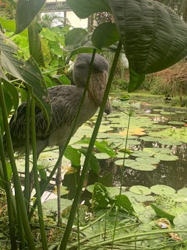 神戸どうぶつ王国に投稿された画像（2021/9/3）