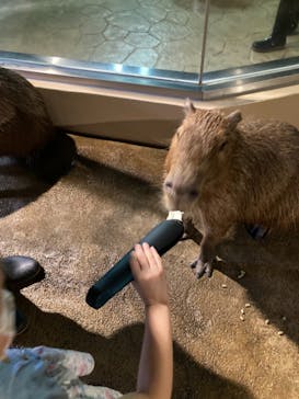 マクセル アクアパーク品川に投稿された画像（2021/9/3）