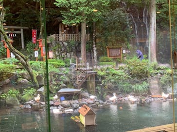 箱根湯本温泉 天成園に投稿された画像（2021/9/3）