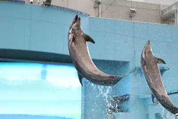 横浜・八景島シーパラダイスに投稿された画像（2021/9/3）