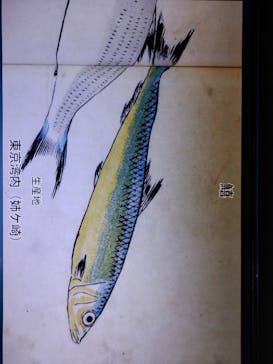 常設展（東京都江戸東京博物館）に投稿された画像（2021/9/3）