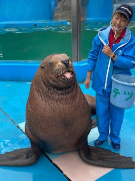 ゼロ距離水族館 伊勢シーパラダイスに投稿された画像（2021/9/3）