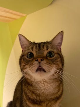 Moff animal world MARK IS みなとみらい店に投稿された画像（2021/9/3）