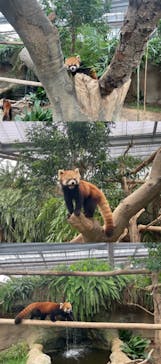 神戸どうぶつ王国に投稿された画像（2021/9/3）