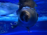 サンシャイン水族館に投稿された画像（2021/9/4）
