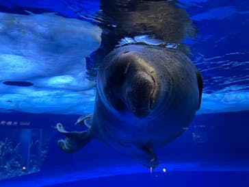 サンシャイン水族館に投稿された画像（2021/9/4）