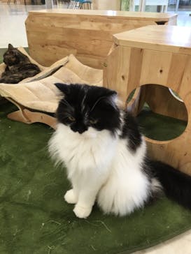 Moff animal world BIGHOPガーデンモール印西店に投稿された画像（2021/9/4）