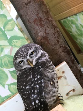 Moff animal world BIGHOPガーデンモール印西店に投稿された画像（2021/9/4）