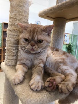 Moff animal world BIGHOPガーデンモール印西店に投稿された画像（2021/9/4）