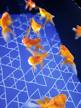 すみだ水族館に投稿された画像（2021/9/4）