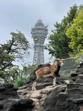 天王寺動物園に投稿された画像（2021/9/4）