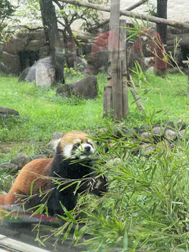 天王寺動物園に投稿された画像（2021/9/4）