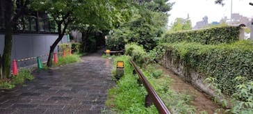 京都ミステリー紀行に投稿された画像（2021/9/4）