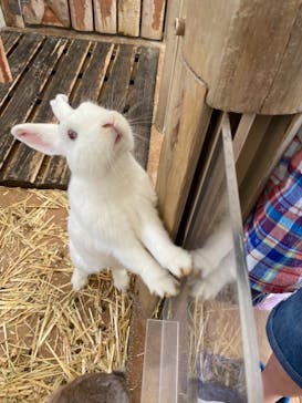 秋吉台自然動物公園 サファリランドに投稿された画像（2021/9/4）
