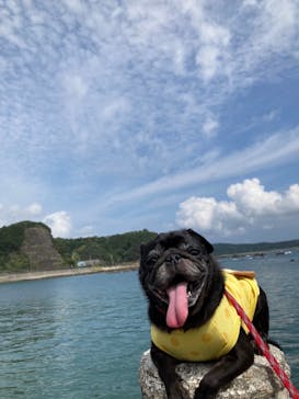 串本海中公園水族館に投稿された画像（2021/9/4）