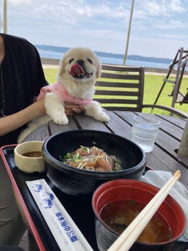 串本海中公園水族館に投稿された画像（2021/9/4）