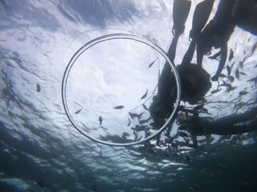 武藤潜水に投稿された画像（2021/9/4）