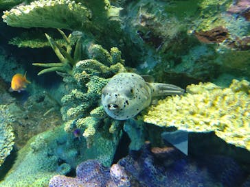 サンシャイン水族館に投稿された画像（2021/9/4）