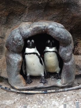 サンシャイン水族館に投稿された画像（2021/9/4）