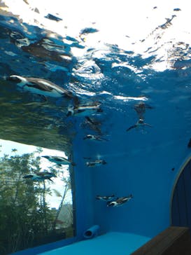 サンシャイン水族館に投稿された画像（2021/9/4）